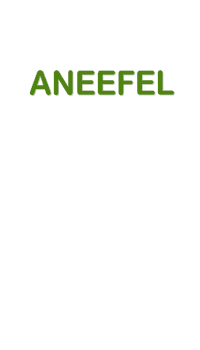 Aneefel